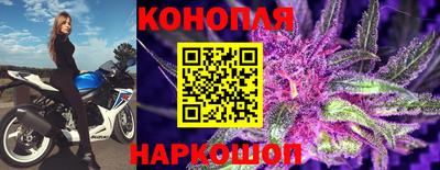 jwh Кинель
